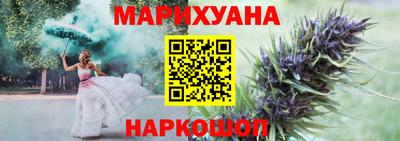 крисы Аргун