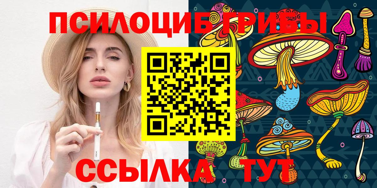 Псилоцибиновые грибы Барнаул