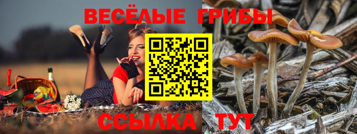 Канабис  Барнаул  Вход с VPN  COCAIN  Мефедрон кристаллы  ГАШИШ 